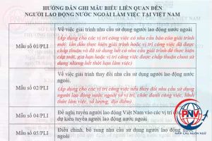 Cách điền mẫu số 1/PLI, 2/PLI, 4/PLI, 5/PLI