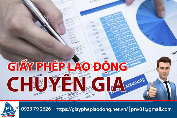 Giấy phép lao động cho chuyên gia phân tích dữ liệu