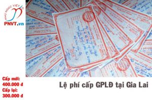 lệ phí cấp giấy phép lao động cho người nước ngoài tại tỉnh Gia Lai