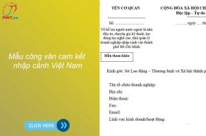 Mẫu công văn cam kết nhập cảnh Việt Nam