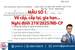 Mẫu số 01 theo Nghị định 219/2025/NĐ‑CP