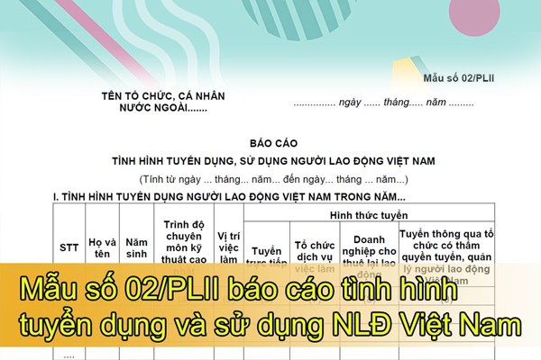 Mẫu số 02/PLII báo cáo sử dụng người lao động Việt Nam