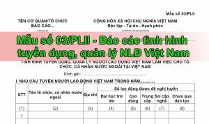mẫu số 03/PLII báo cáo tình hình tuyển dụng và quản lý người lao động Việt Nam