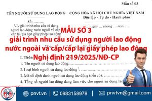 Mẫu số 03 theo Nghị định 219/2025/NĐ‑CP