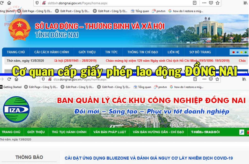 Giấy phép lao động PNVT