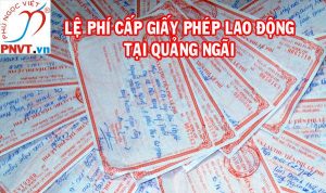 Quy định mức thu lệ phí làm giấy phép lao động tại tỉnh Quảng Ngãi