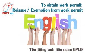 Thành phần hồ sơ cấp mới giấy phép lao động bằng tiếng Anh