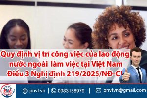 vị trí công việc của lao động nước ngoài làm việc tại Việt Nam