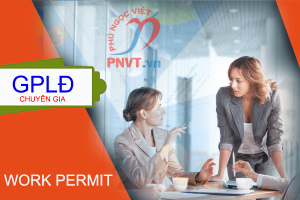 Xin Work Permit cho chuyên gia truyền thông Indonesia